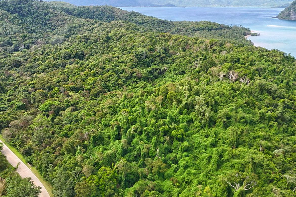 Land for Sale in Aberawan, El Nido, Palawan – photo 4