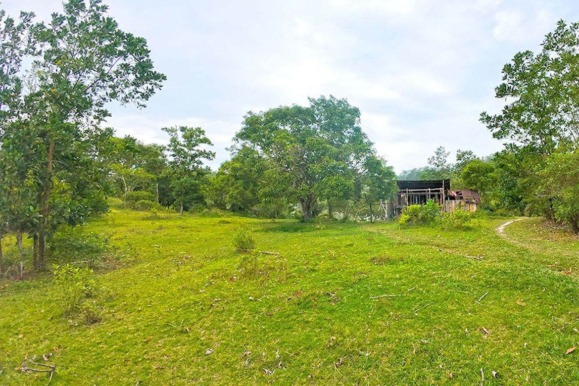 Land for Sale in Aberawan, El Nido, Palawan – photo 8