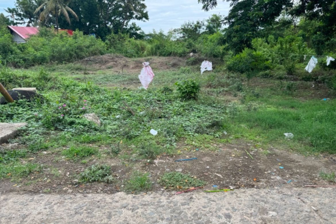 Land for Sale in Abeto Mirasol Taft South, Iloilo City, Iloilo – photo 2