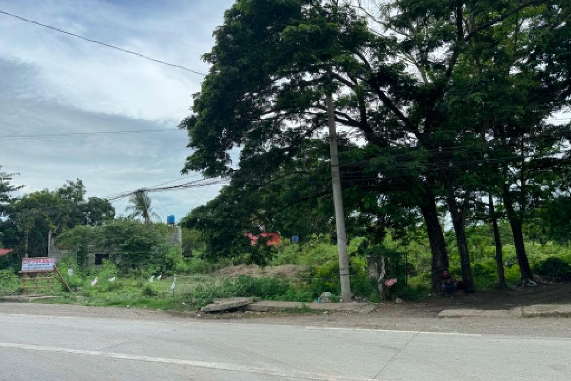 Land for Sale in Abeto Mirasol Taft South, Iloilo City, Iloilo – photo 3