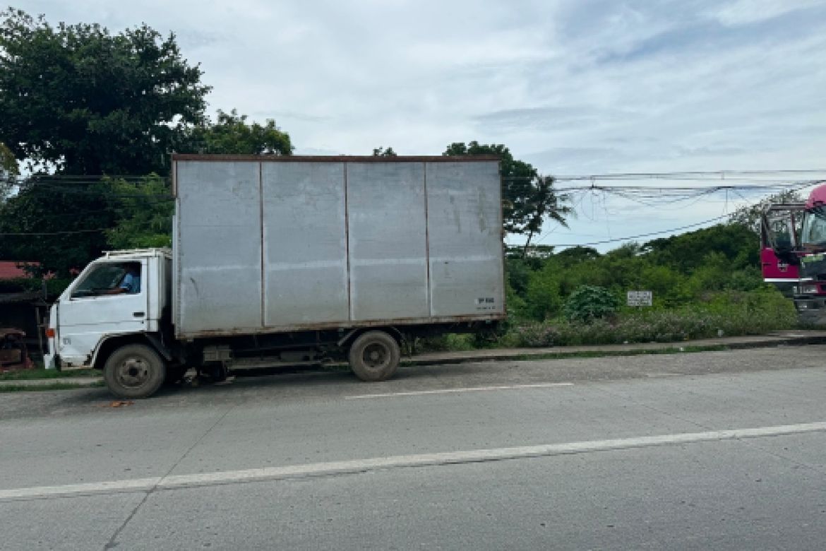 Land for Sale in Abeto Mirasol Taft South, Iloilo City, Iloilo – photo 5
