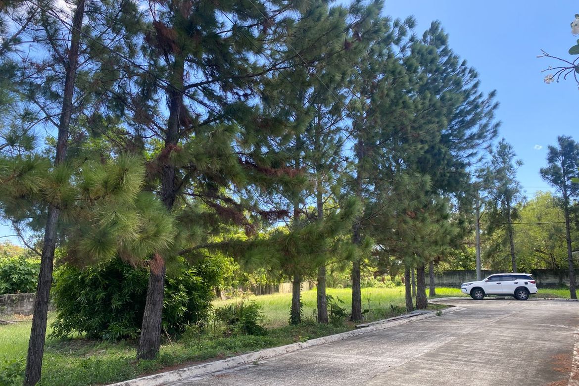 Land for Sale in Abilay Norte, Oton, Iloilo