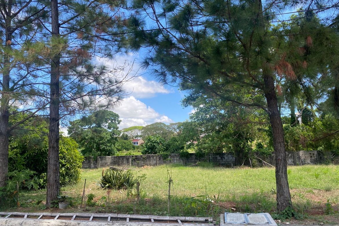 Land for Sale in Abilay Norte, Oton, Iloilo – photo 3