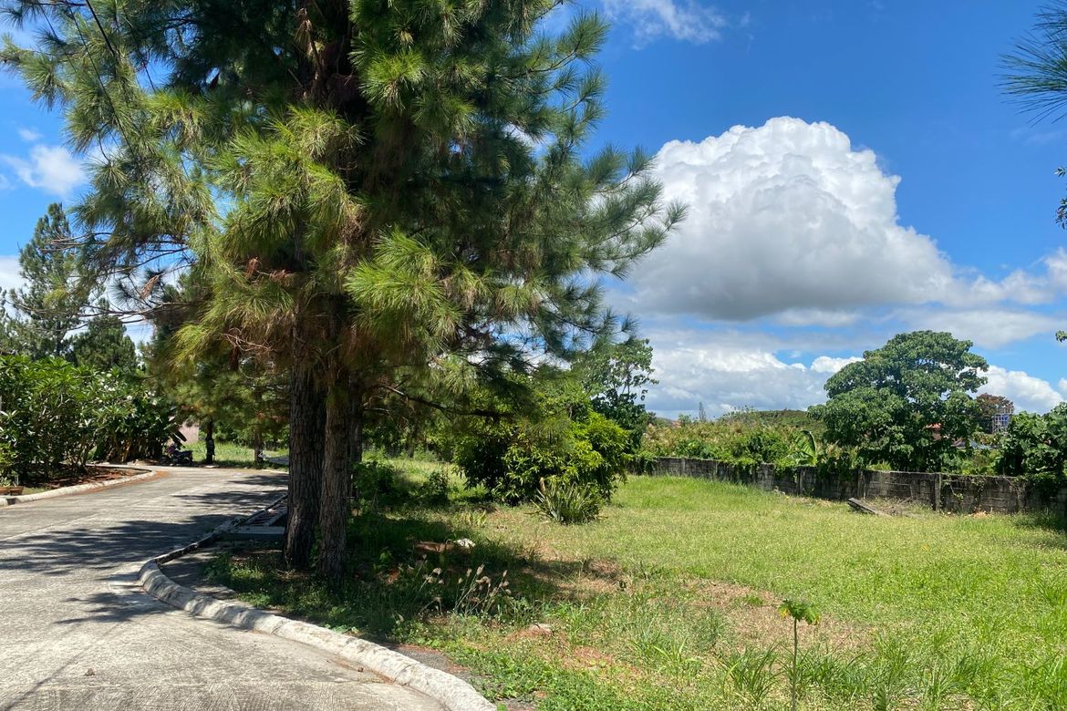 Land for Sale in Abilay Norte, Oton, Iloilo – photo 4