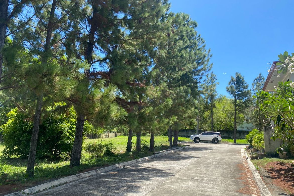 Land for Sale in Abilay Norte, Oton, Iloilo – photo 6