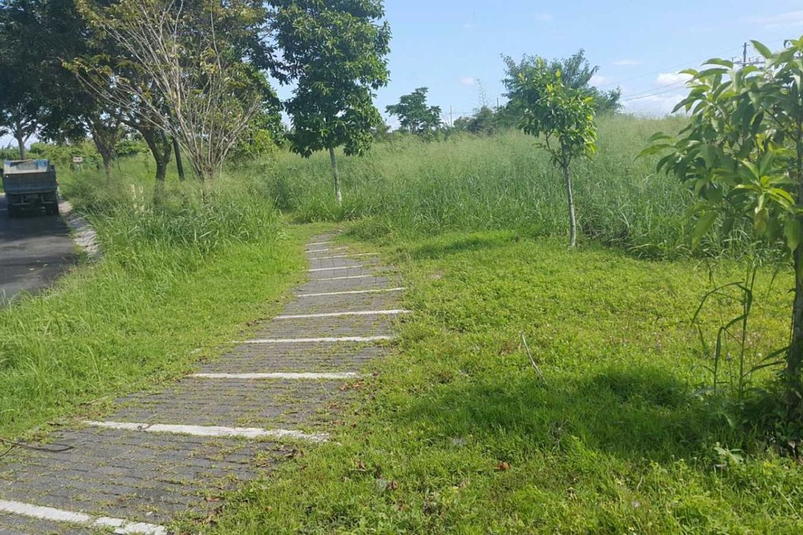Land for Sale in Abrio , Santo Domingo, Santa Rosa, Laguna – photo 4