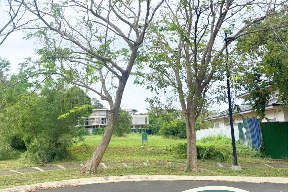 Land for Sale in Abrio , Santo Domingo, Santa Rosa, Laguna – photo 3