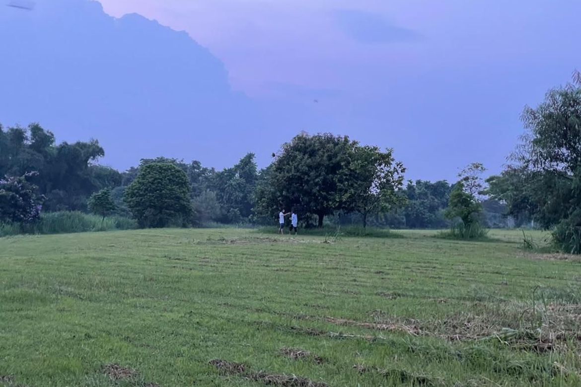 Land for Sale in Abrio , Santo Domingo, Santa Rosa, Laguna – photo 3