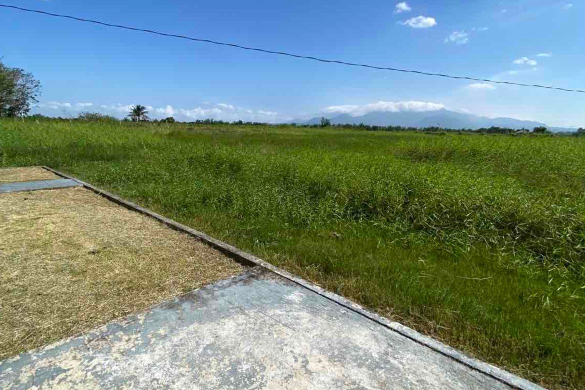 Land for Sale in Abuanan, Bago, Negros Occidental – photo 5