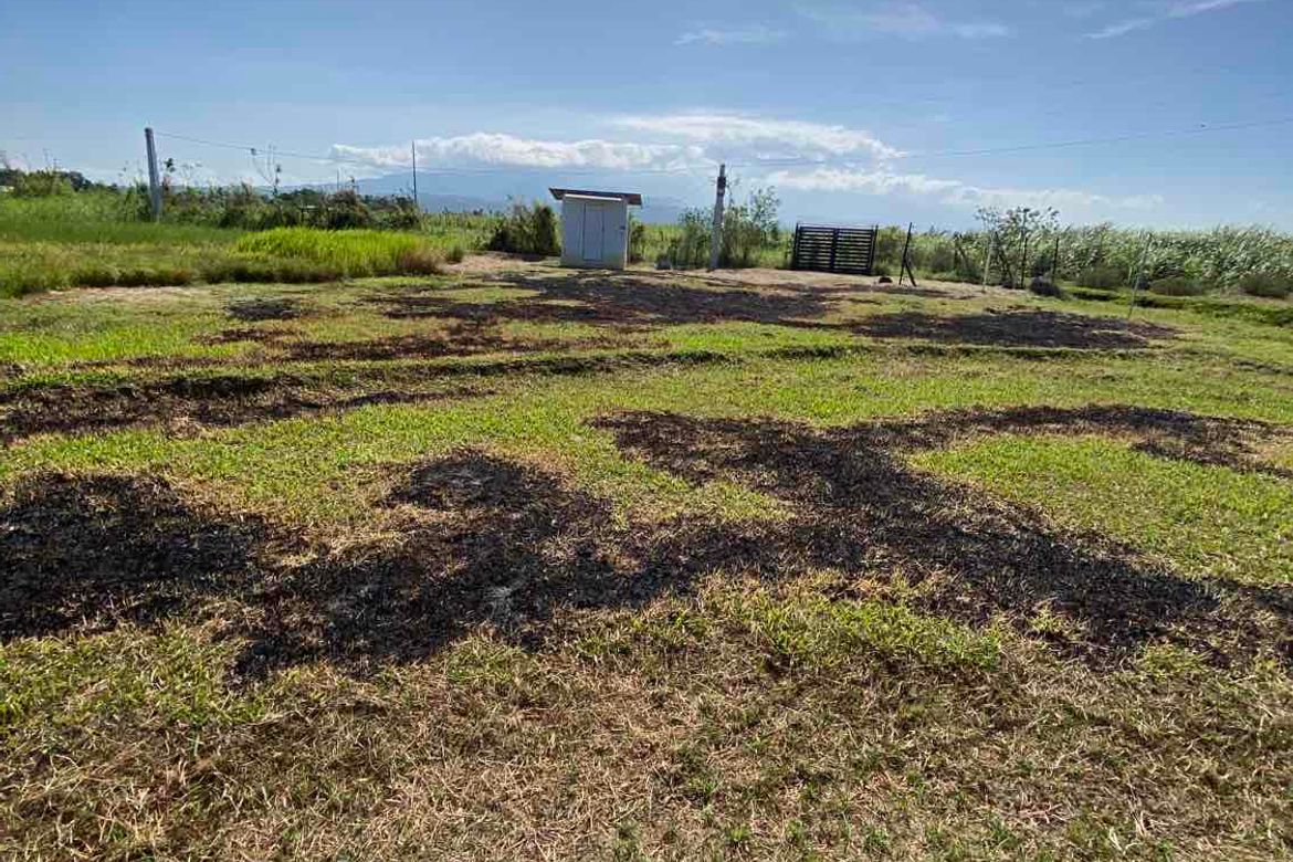 Land for Sale in Abuanan, Bago, Negros Occidental – photo 7