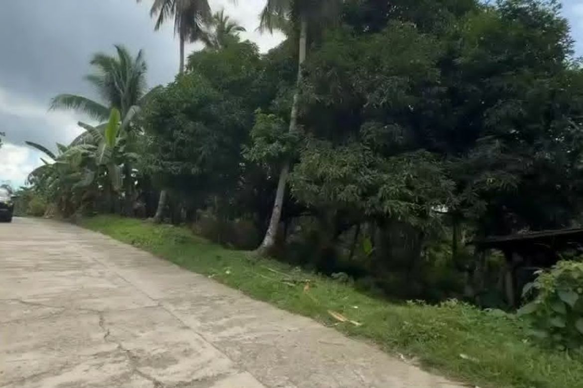 Land for Sale in Acacia, Davao City, Davao del Sur