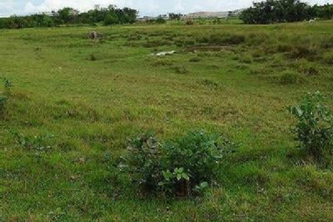 Land for Sale in Acocolao, Paniqui, Tarlac – photo 2