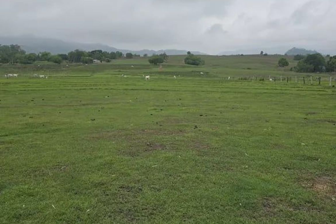Land for Sale in Acocolao, Paniqui, Tarlac – photo 3