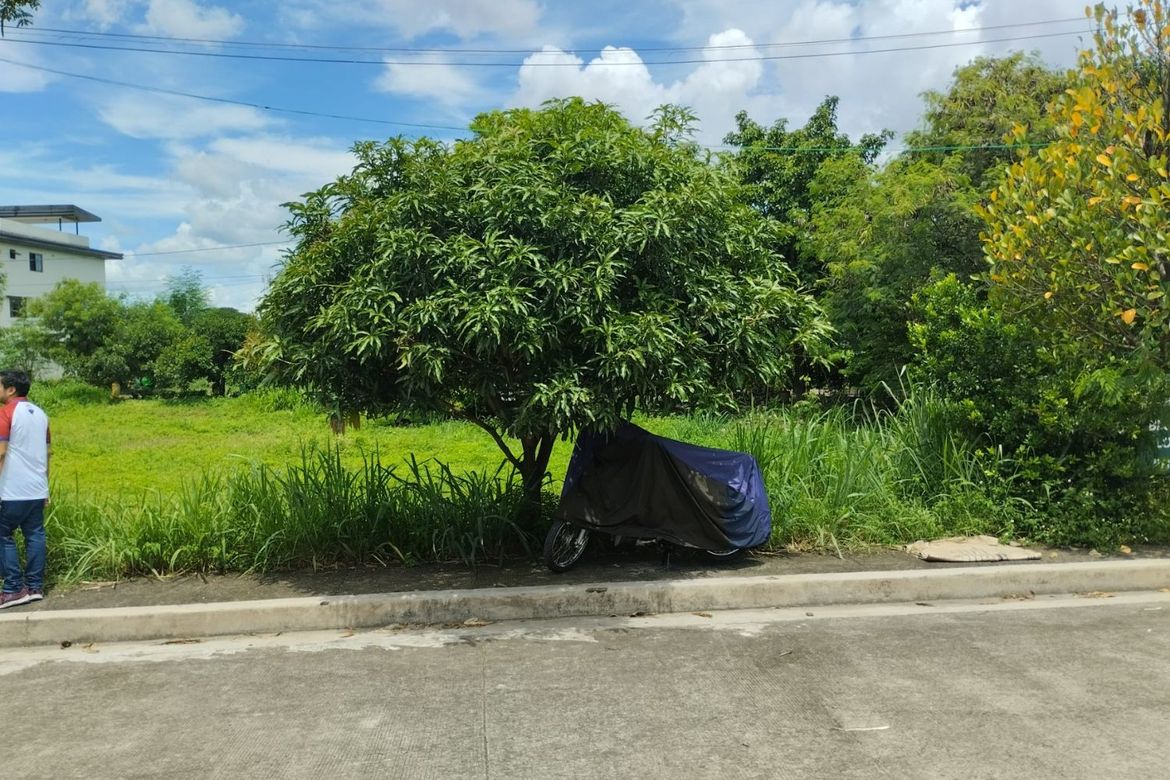 Land for Sale in Acropolis Loyola, Marikina, Metro Manila – photo 5
