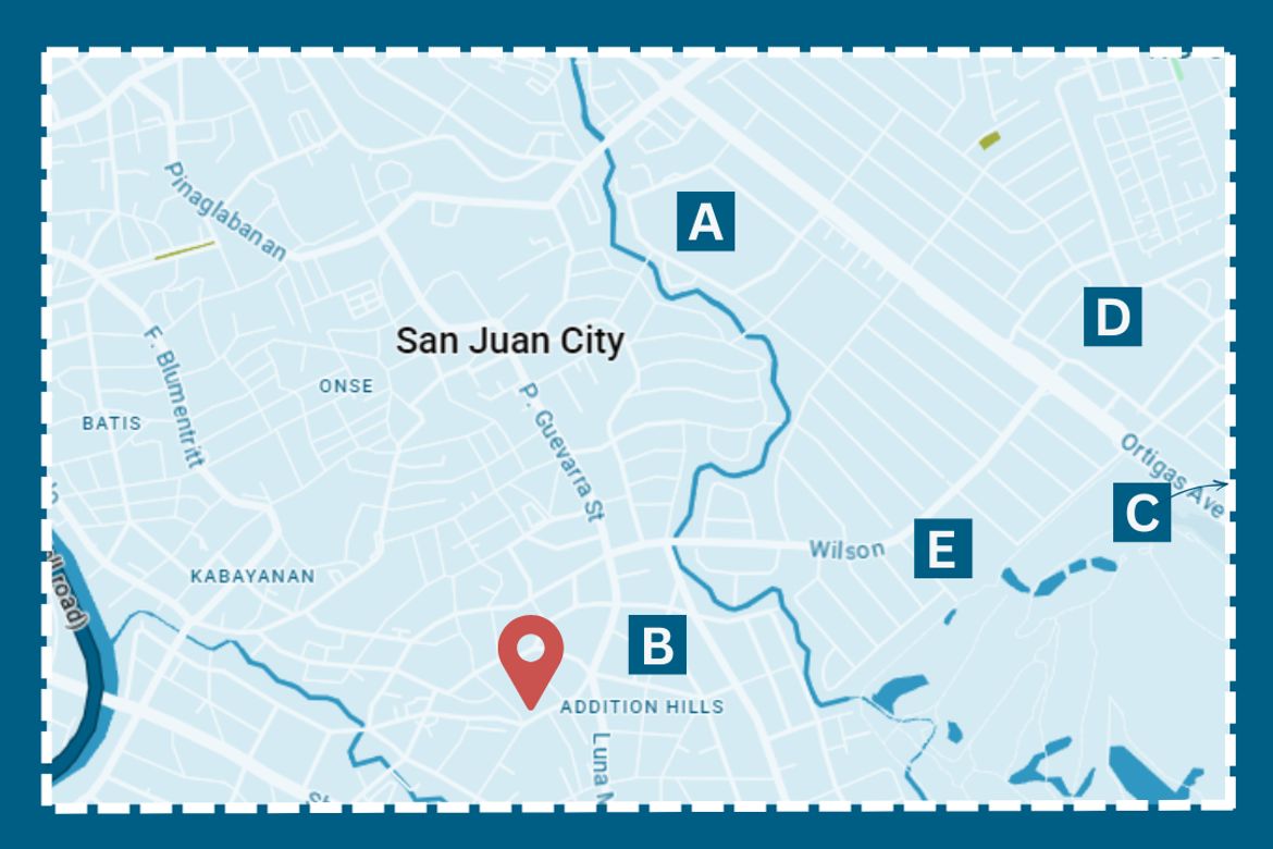 Land for Sale in Addition Hills, San Juan, Metro Manila – photo 3