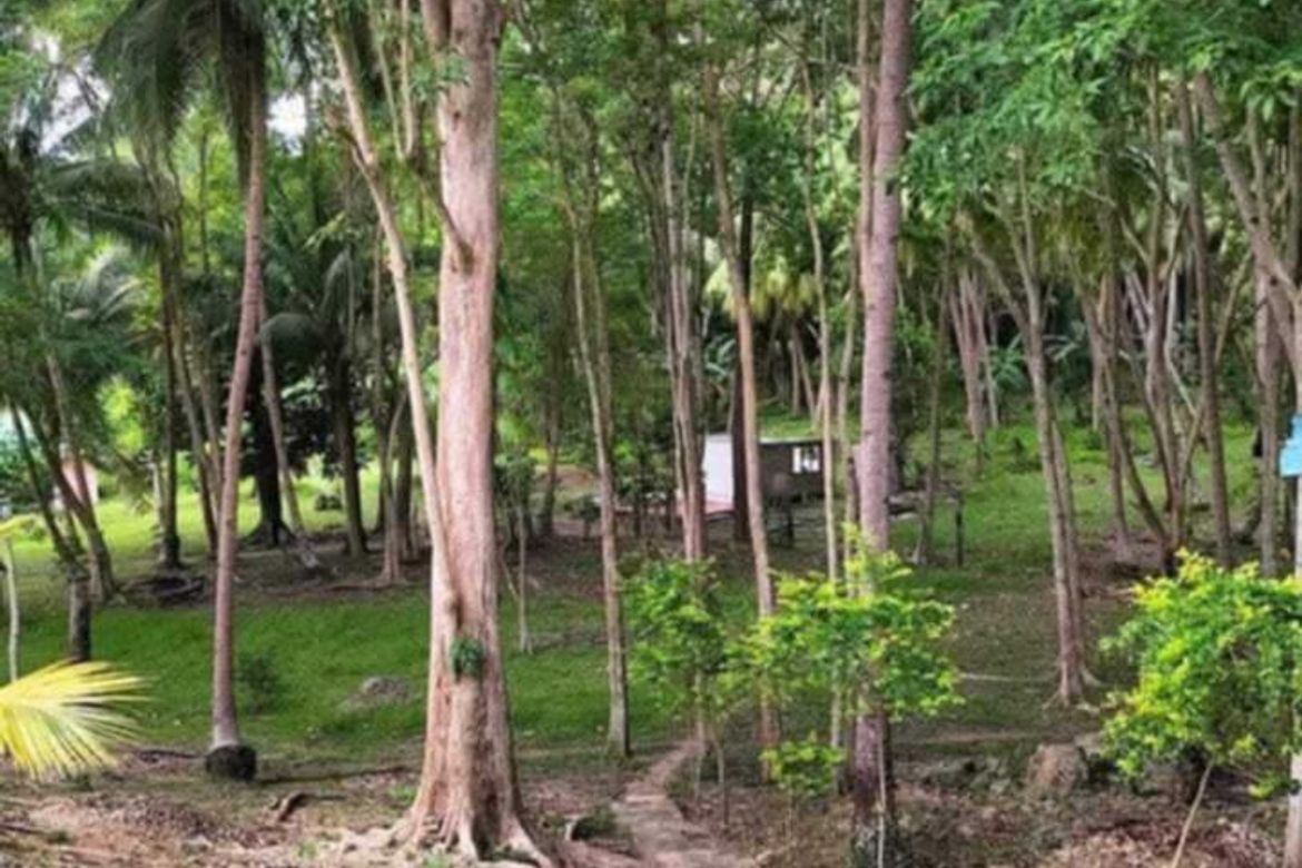 Land for Sale in Adecor, Samal, Davao del Norte – photo 4