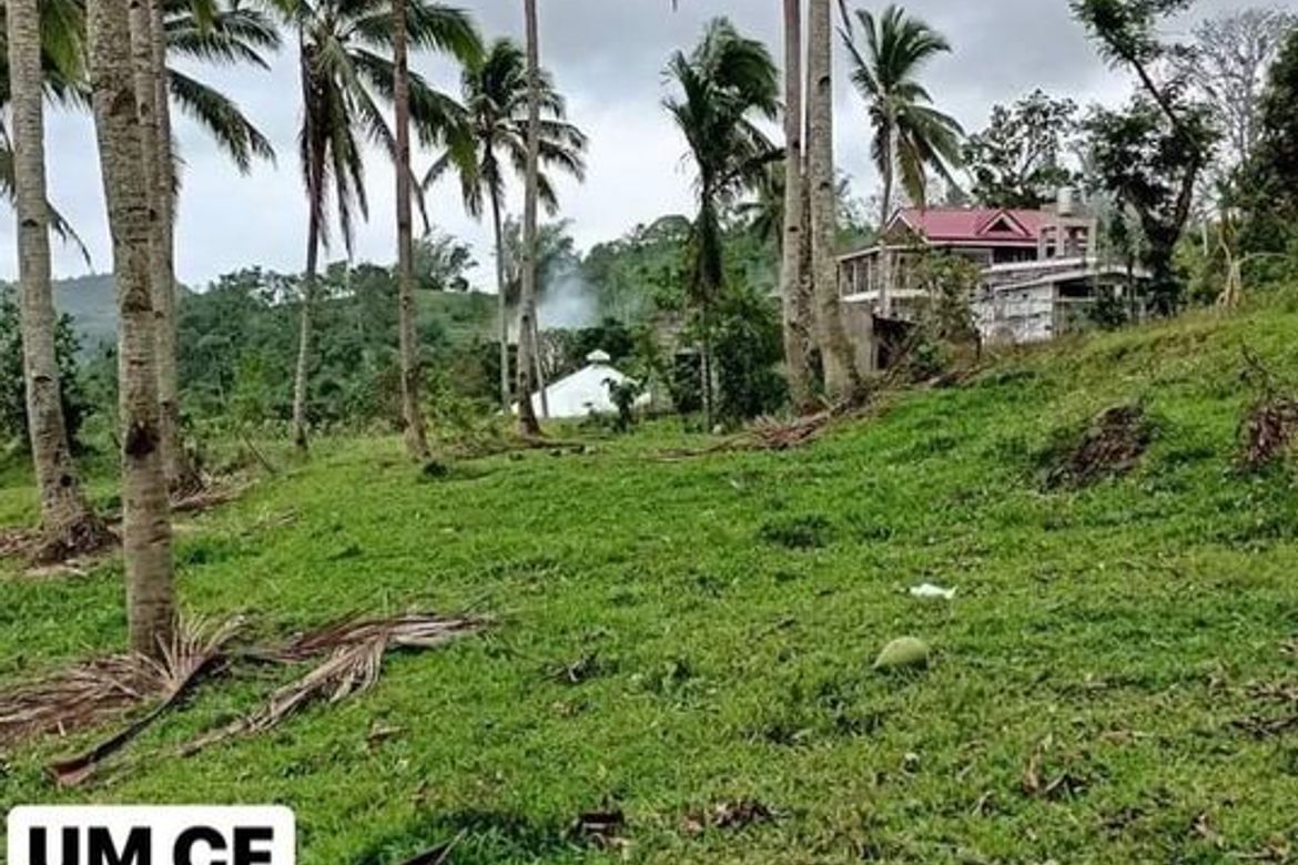 Land for Sale in Adlaon, Cebu City, Cebu – photo 3