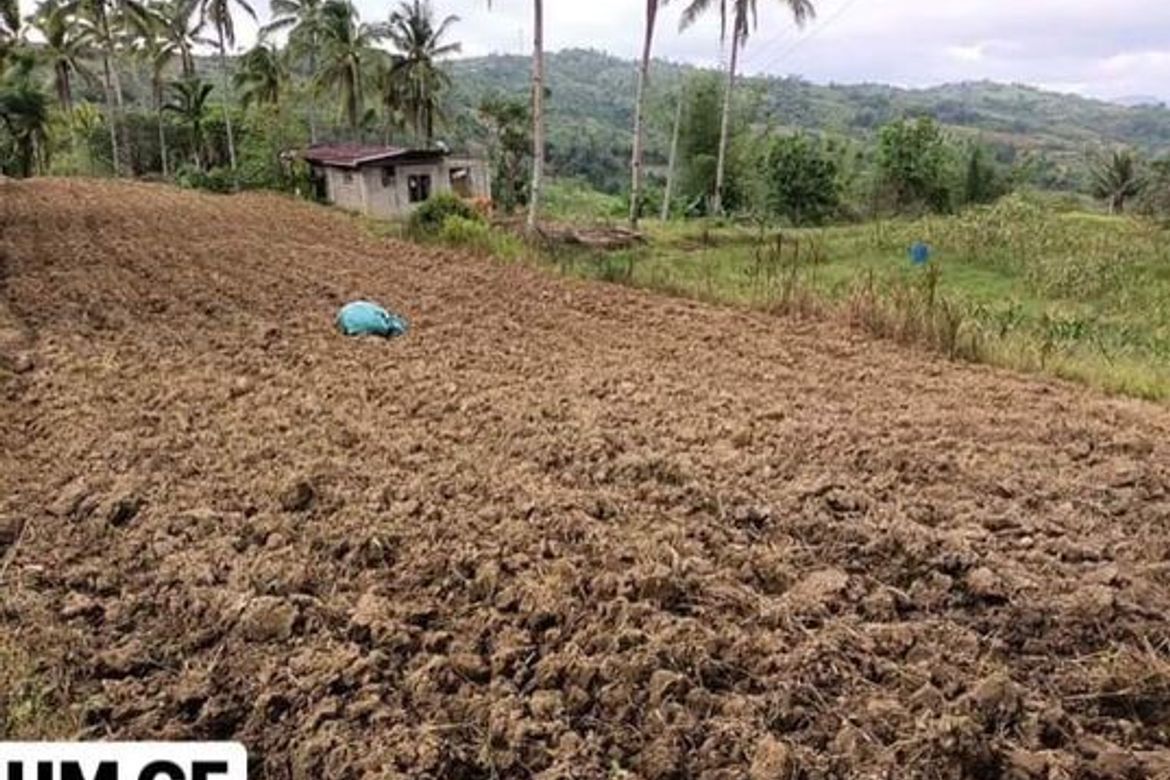 Land for Sale in Adlaon, Cebu City, Cebu – photo 5