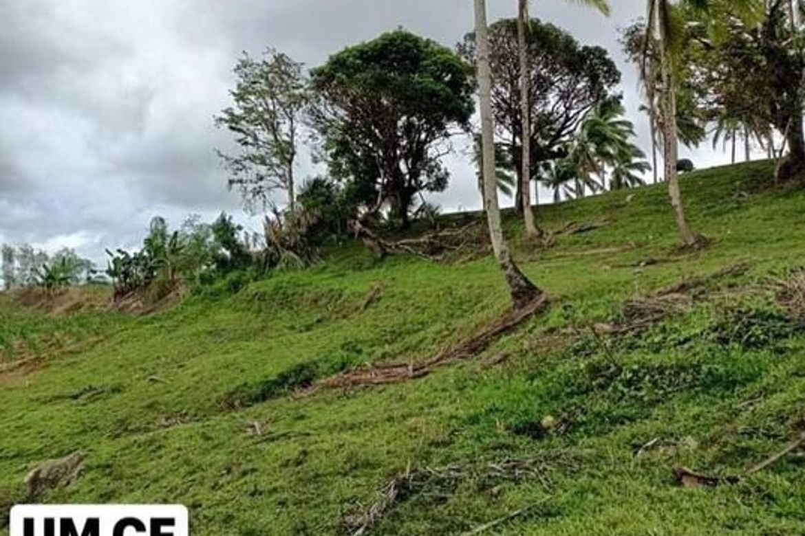 Land for Sale in Adlaon, Cebu City, Cebu – photo 8