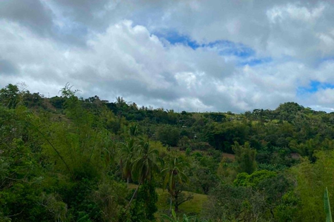 Land for Sale in Adlaon, Cebu City, Cebu – photo 5