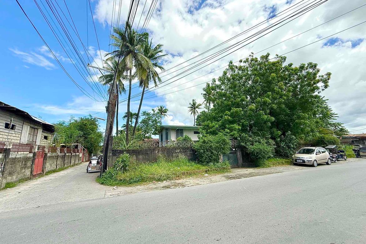 Land for Sale in Aduas Centro, Cabanatuan, Nueva Ecija – photo 2