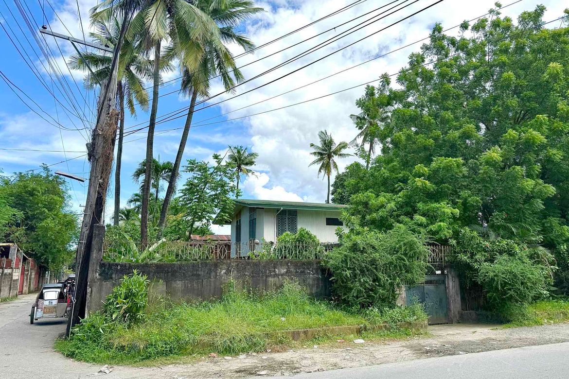 Land for Sale in Aduas Centro, Cabanatuan, Nueva Ecija – photo 3