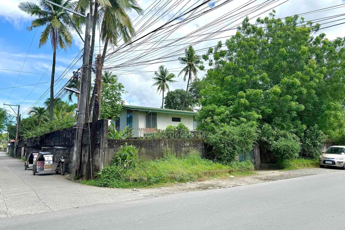 Land for Sale in Aduas Centro, Cabanatuan, Nueva Ecija – photo 5