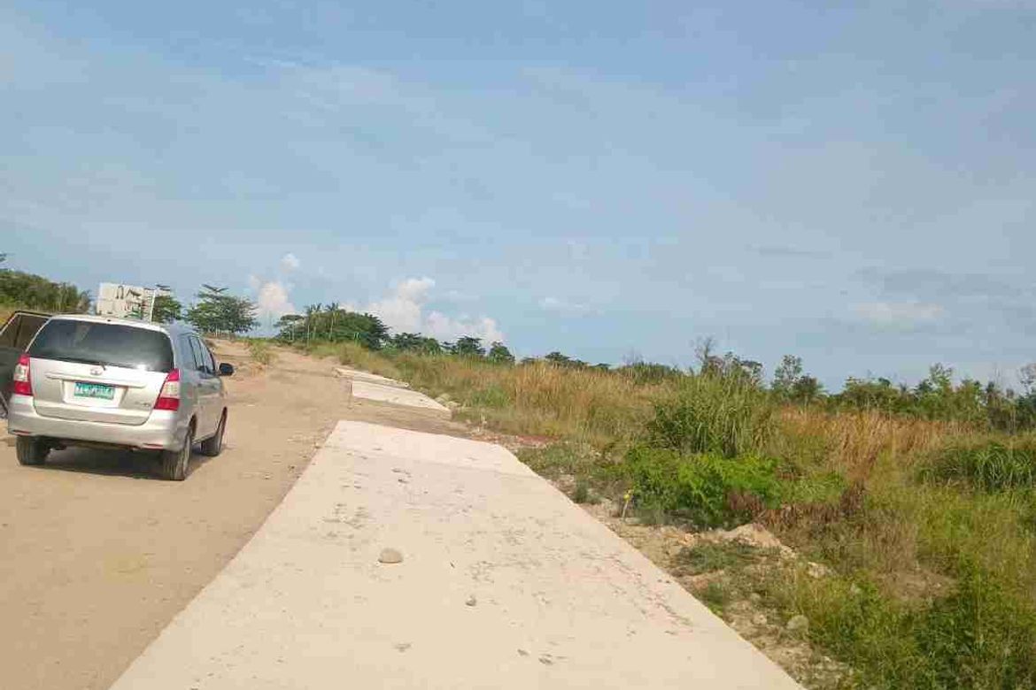 Land for Sale in Agan-An, Sibulan, Negros Oriental – photo 2