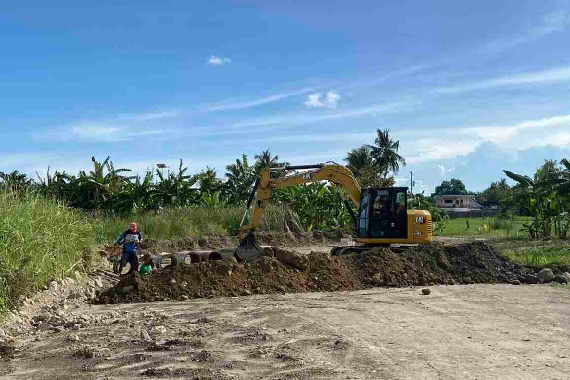 Land for Sale in Agan-An, Sibulan, Negros Oriental – photo 3