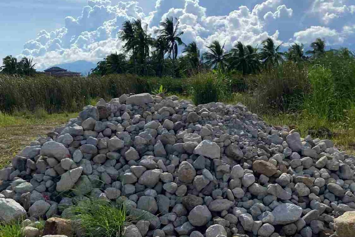 Land for Sale in Agan-An, Sibulan, Negros Oriental – photo 6