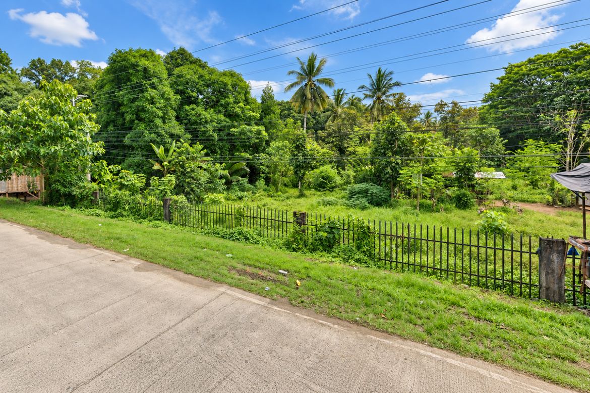 Land for Sale in Agay-Ayan, Gingoog, Misamis Oriental – photo 2