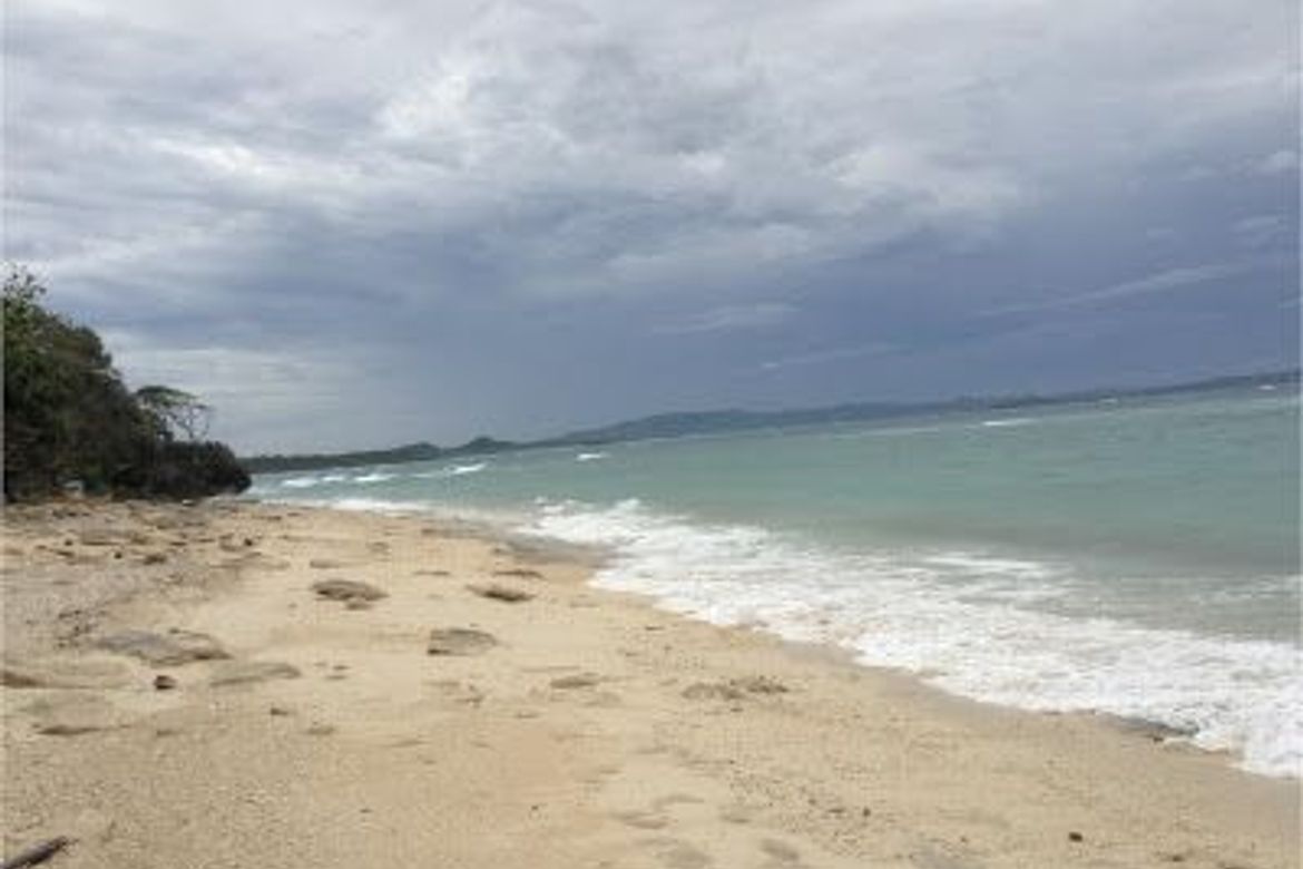 Land for Sale in Agnonoc, Ferrol, Romblon – photo 3