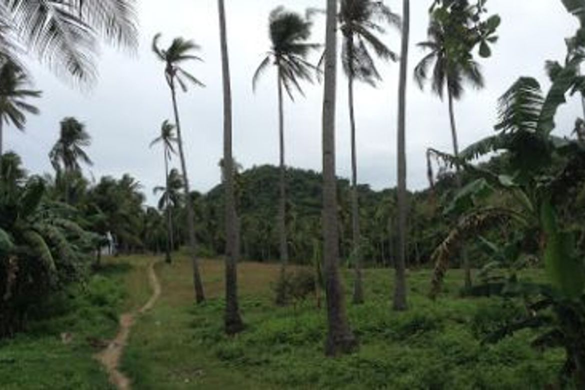 Land for Sale in Agnonoc, Ferrol, Romblon – photo 7