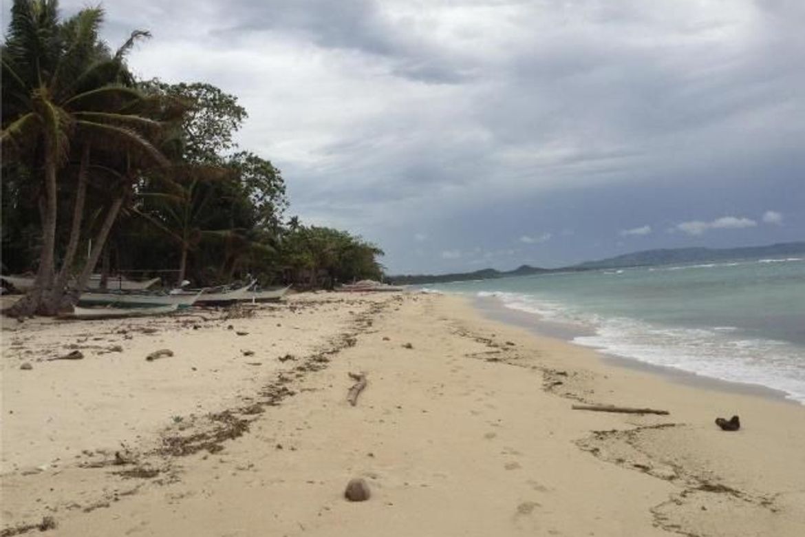 Land for Sale in Agnonoc, Ferrol, Romblon – photo 4