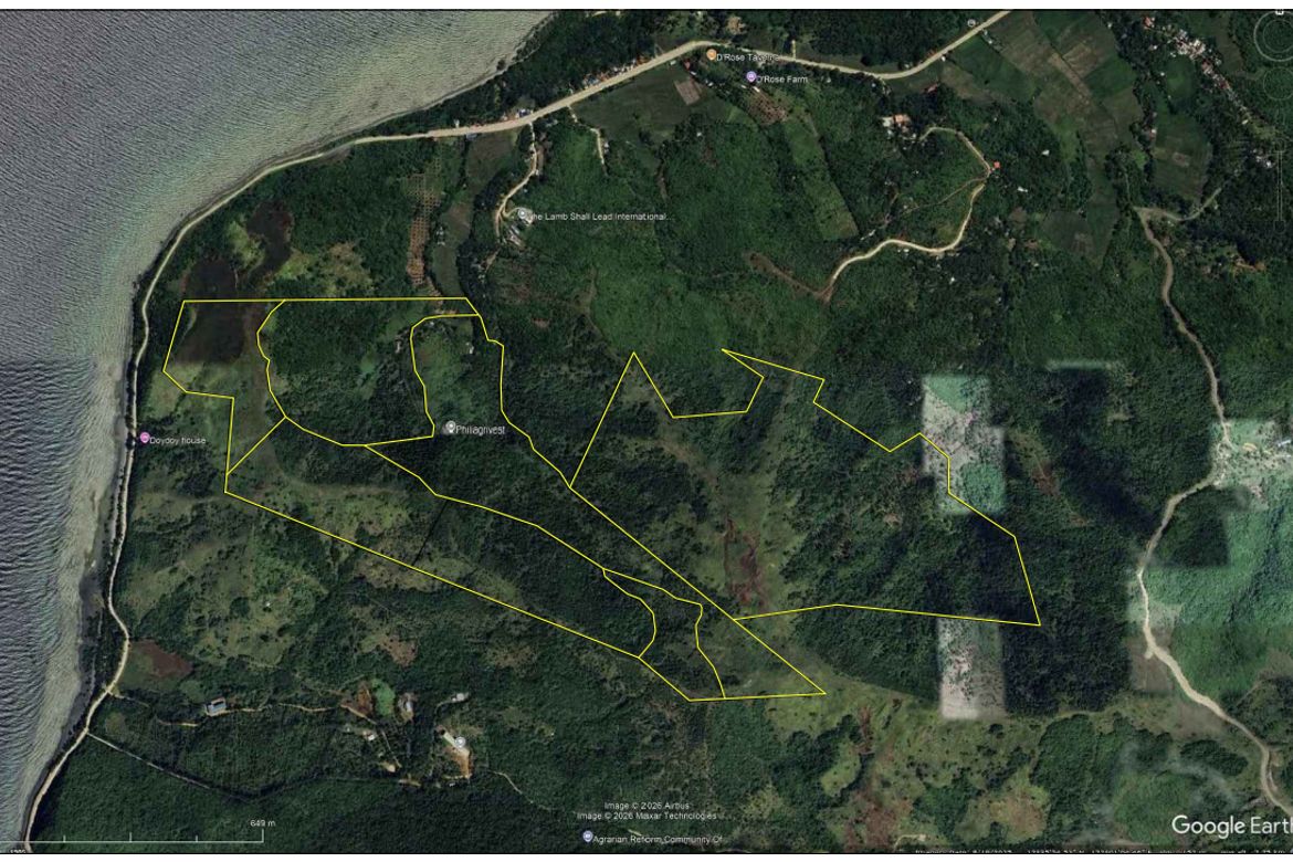 Land for Sale in Agpudlos, San Andres, Romblon – photo 4