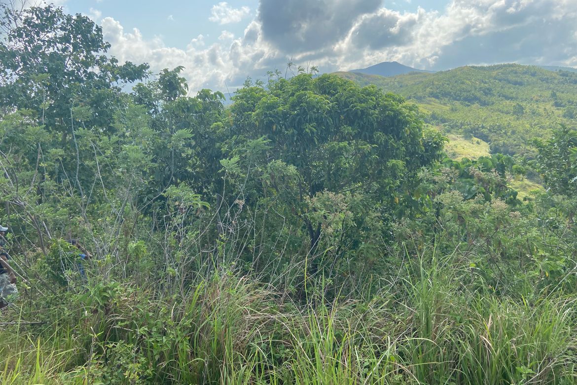 Land for Sale in Agpudlos, San Andres, Romblon – photo 6