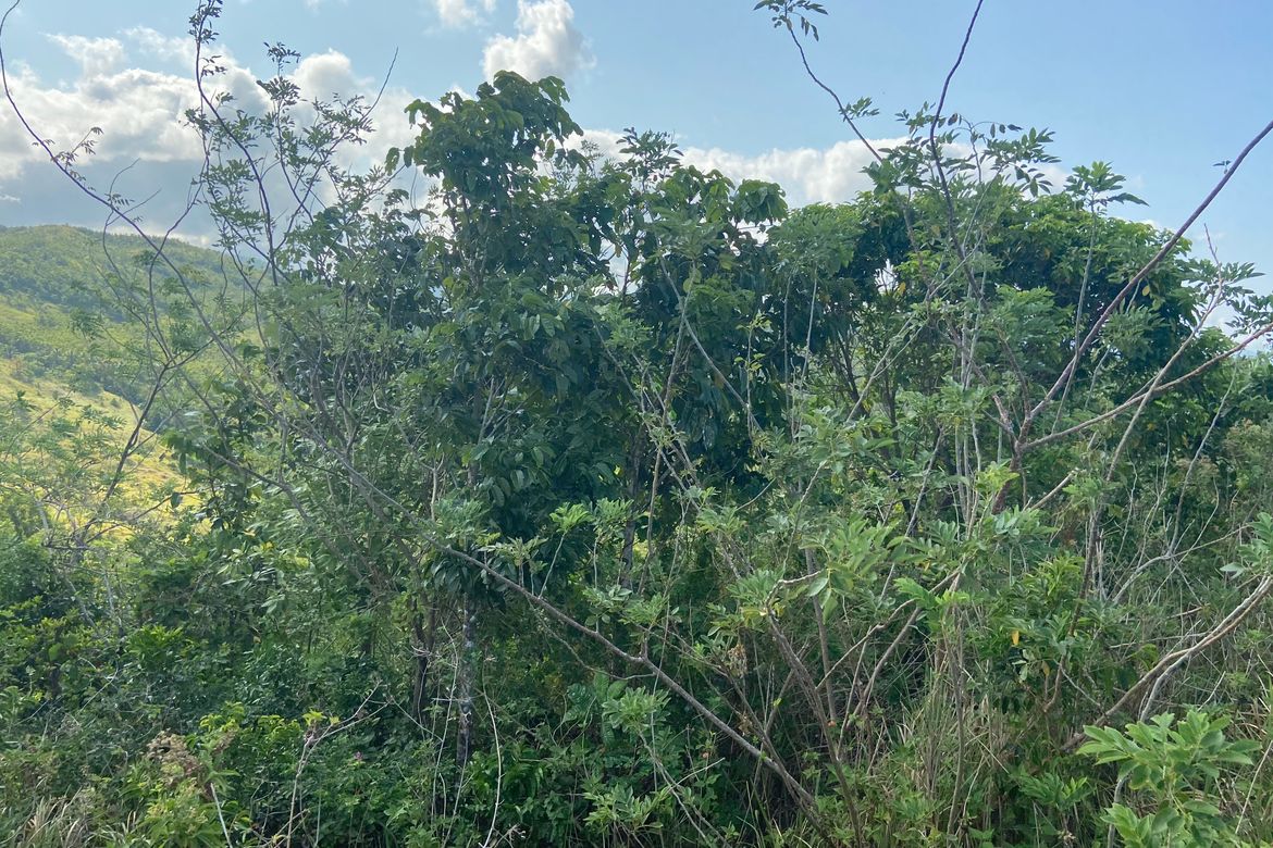 Land for Sale in Agpudlos, San Andres, Romblon – photo 7