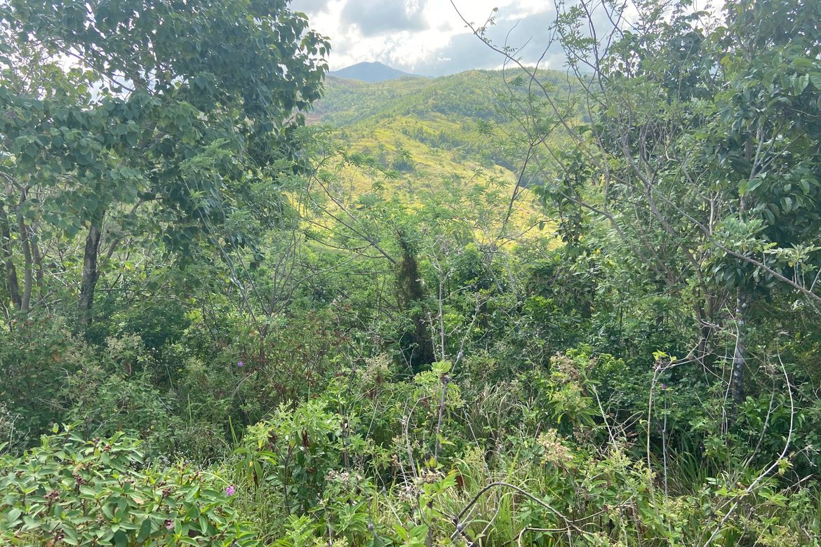 Land for Sale in Agpudlos, San Andres, Romblon – photo 8