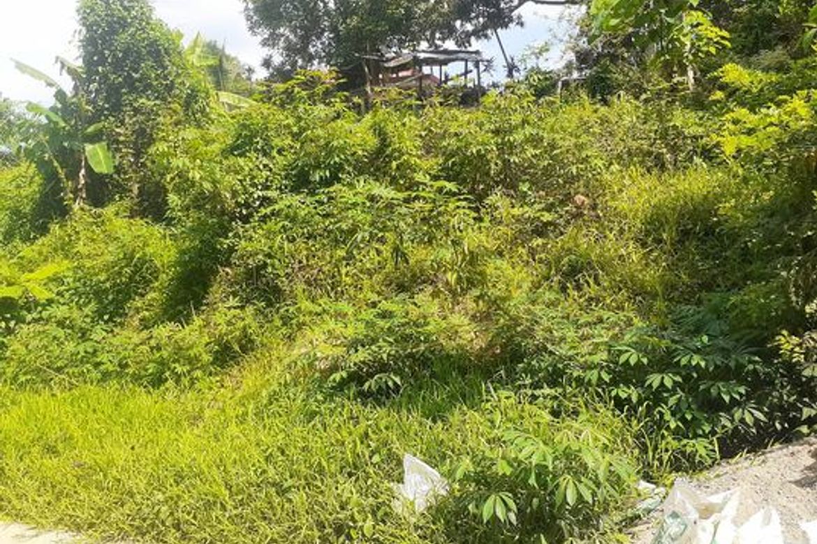 Land for Sale in Agsungot, Cebu City, Cebu – photo 2