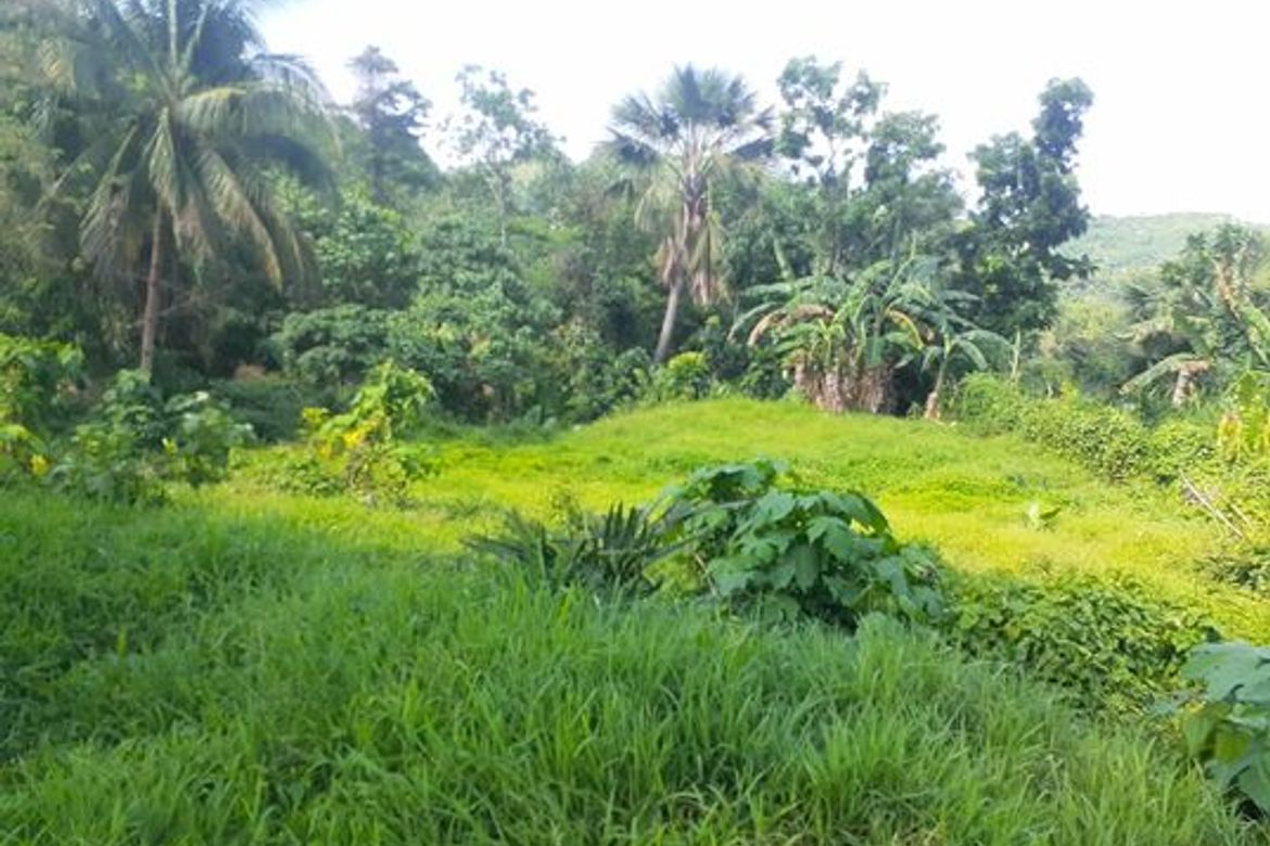 Land for Sale in Agsungot, Cebu City, Cebu – photo 4