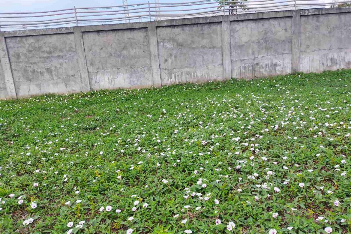 Land for Sale in Aguado, Trece Martires, Cavite