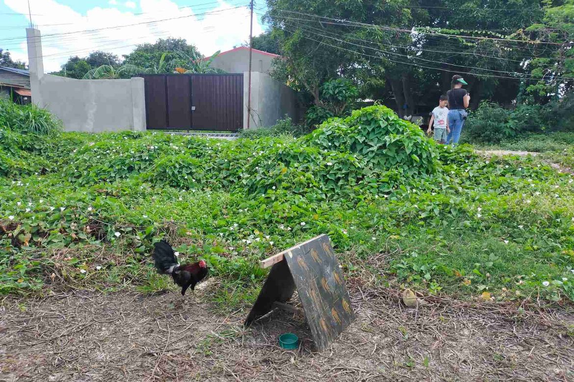 Land for Sale in Aguado, Trece Martires, Cavite – photo 5