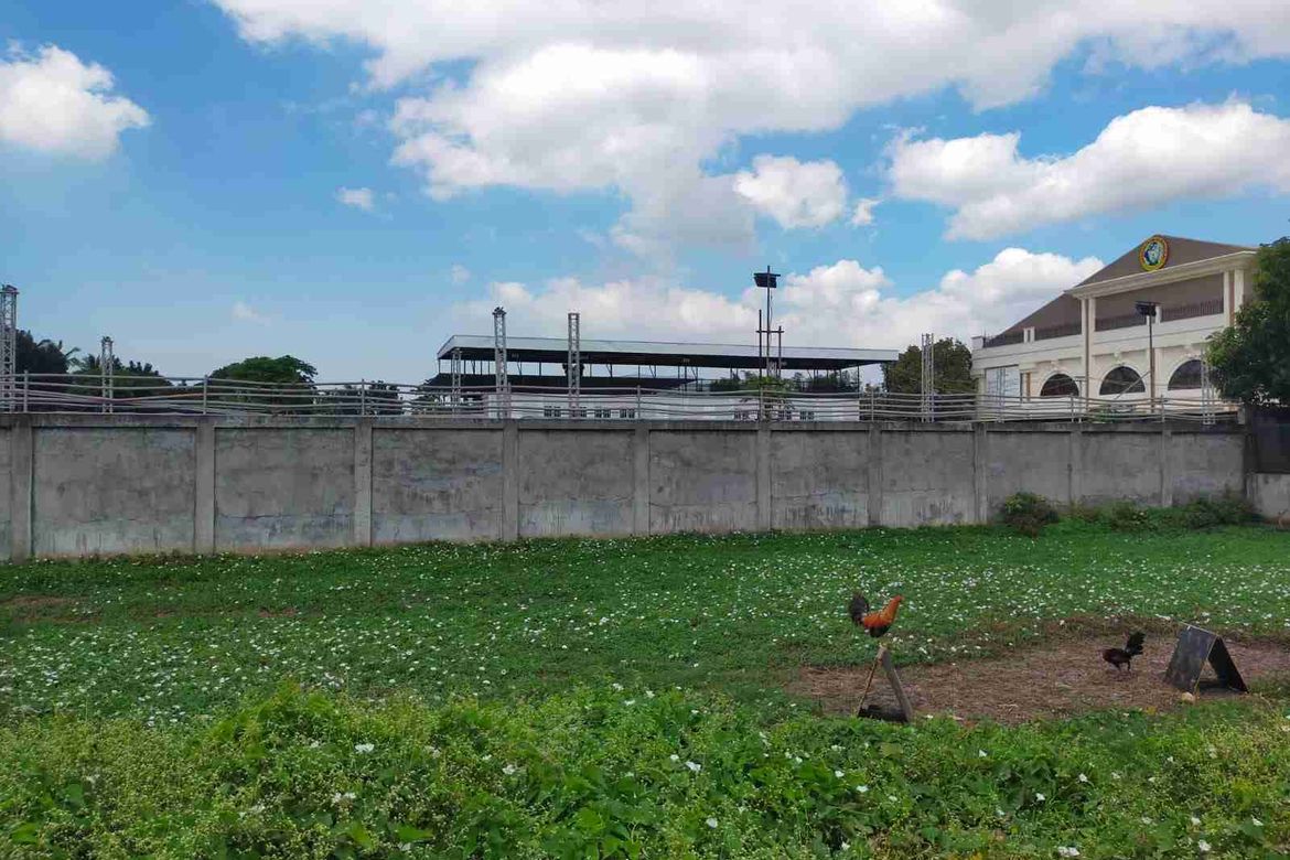 Land for Sale in Aguado, Trece Martires, Cavite – photo 6