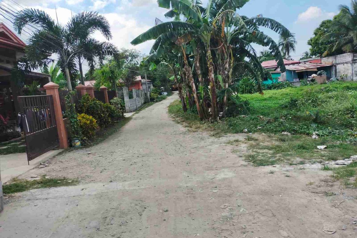 Land for Sale in Aguado, Trece Martires, Cavite – photo 7