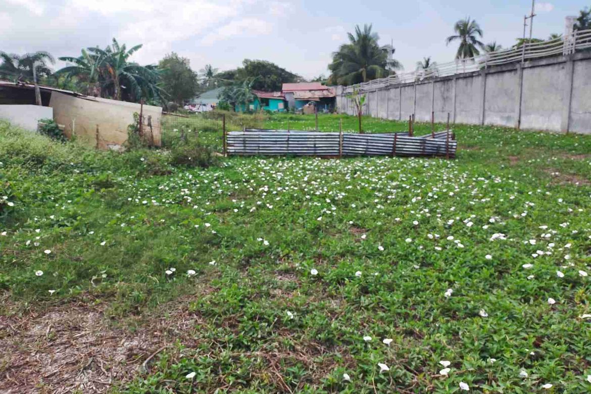 Land for Sale in Aguado, Trece Martires, Cavite – photo 8