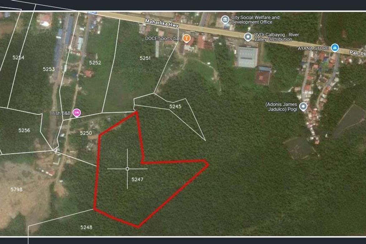 Land for Sale in Aguit-Itan, Calbayog, Samar – photo 2