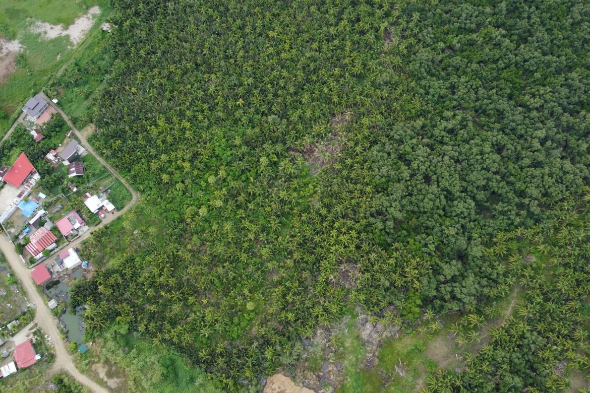 Land for Sale in Aguit-Itan, Calbayog, Samar – photo 3