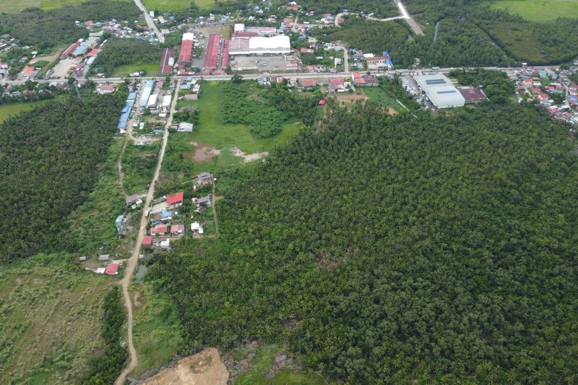 Land for Sale in Aguit-Itan, Calbayog, Samar – photo 4