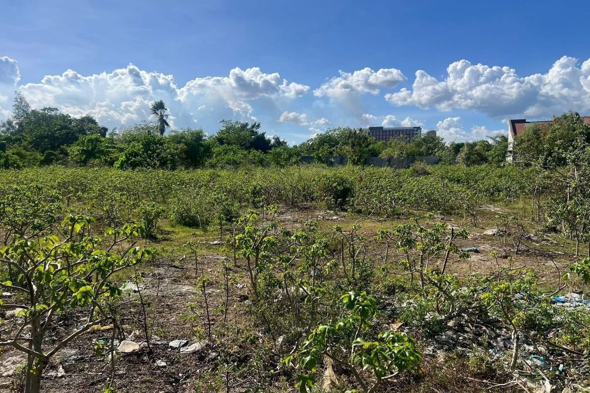 Land for Sale in Agus, Lapu-Lapu, Cebu – photo 4