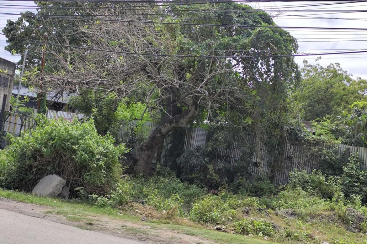 Land for Sale in Agus, Lapu-Lapu, Cebu – photo 4